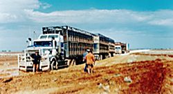 p2228-Outback-Way-2
