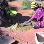 p2361 Termite grinding 2