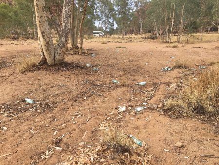 2485 rubbish in Todd 6 OK