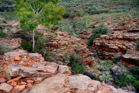 Gully ravine 1