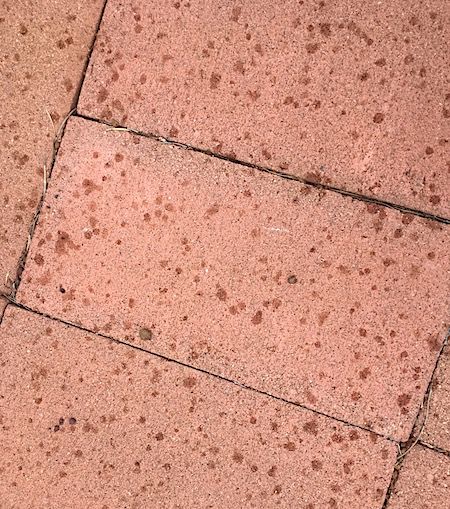 2583 raindrops 1