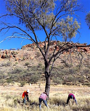 p2361-spencer-buffel-may-2012ok