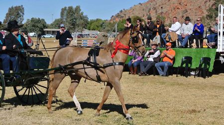 p2252-Adam-Giles-at-show
