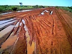 p2414 Tanami Road 2