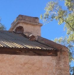 p2450 Hermannsburg school 1 OK