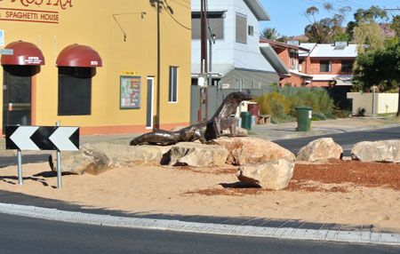 p2253-Lizard-roundabout-2
