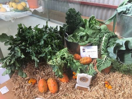 2557 show community garden OK