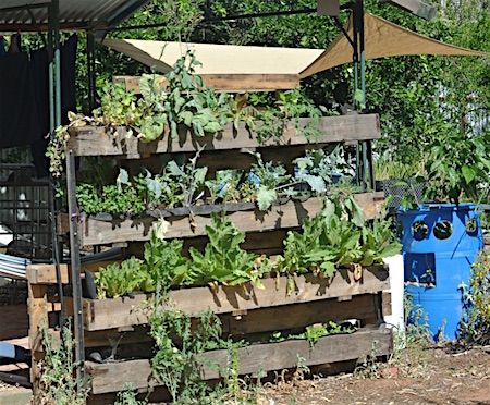 p2359-david-de-vries-3-ok