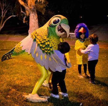 p2341-SS-Fest-parrots