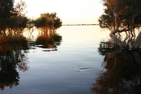 p2143-Groundrush-Lake-Ruth