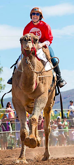 2585 Camel Cup 1