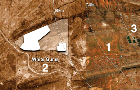 p2127-White-Gums