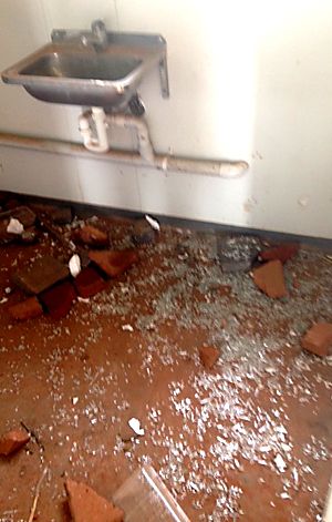 p2306-Ti-Tree-vandalism-7