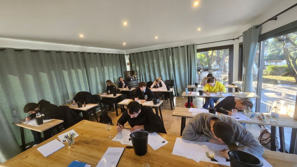 L’École du 20 : transmettre la culture du vin avec exigence et passion