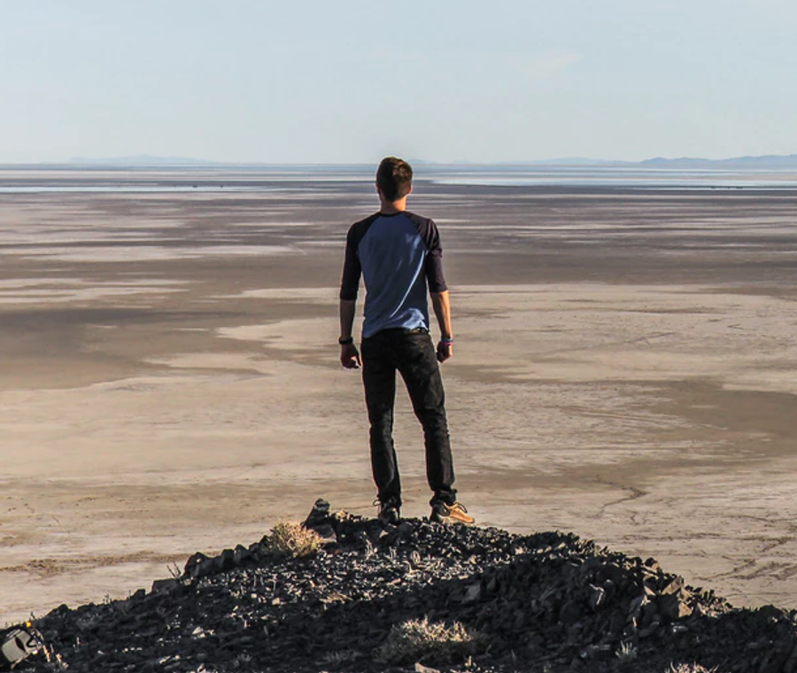 Person standing in a field of sunflowers