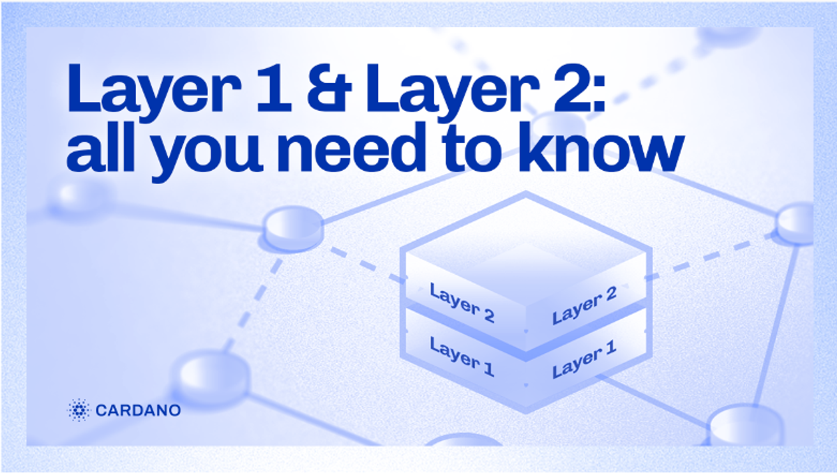 Layer 1 & Layer 2: all you need to know - Input | Output