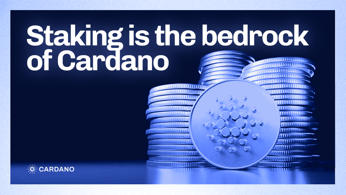 Staking is the bedrock of Cardano - Input | Output