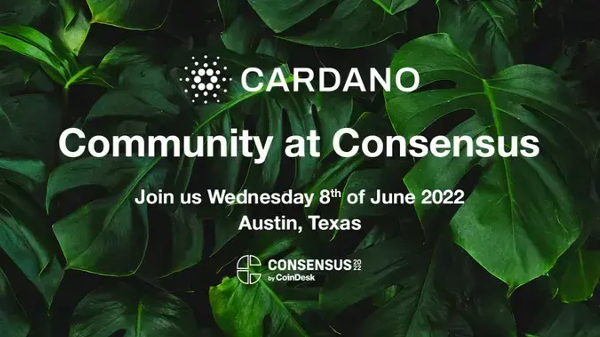 Cardano at Consensus: a look ahead - Input | Output