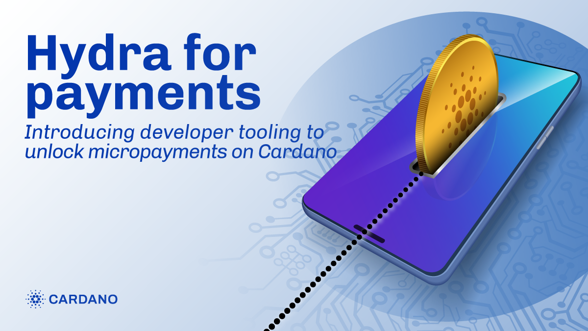 Hydra for Payments – introducing developer tooling to unlock micropayments  on Cardano - Input | Output