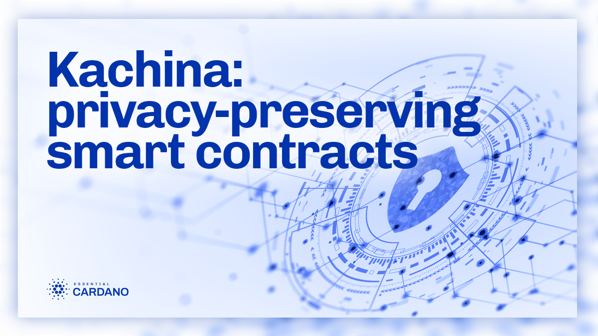 Kachina: privacy-preserving smart contracts - Input | Output