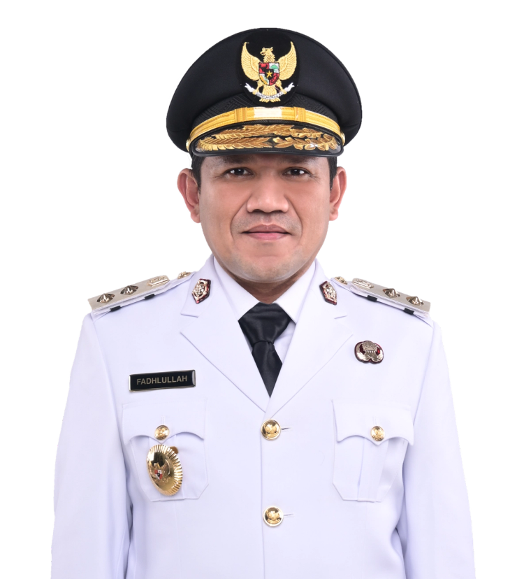 Fadhlullah, Wakil Gubernur Aceh