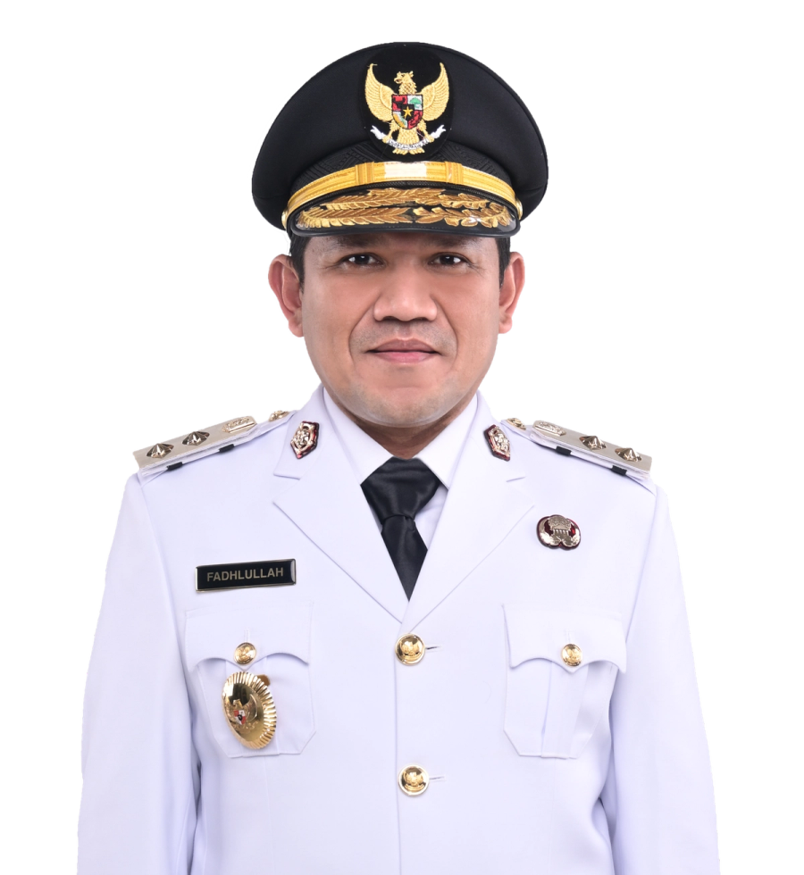 Fadhlullah, Wakil Gubernur Aceh