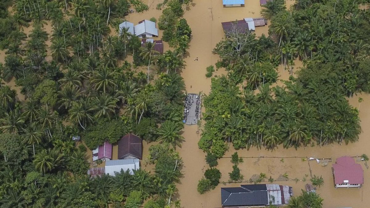 Banjir Meluas di Aceh Tenggara, Apa yang Harus Dipastikan Setelah Air Surut?
