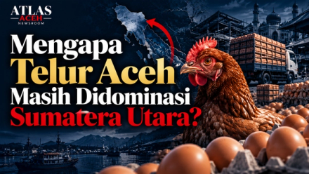 Ilustrasi Atlas Aceh Intelligence Brief tentang rantai ekonomi telur Aceh dan Sumatera Utara