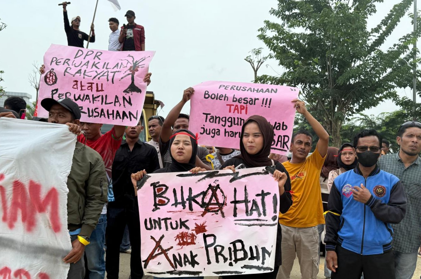 Kawasan perkebunan yang terkait dengan polemik HGU PT Semadam di Aceh Tamiang