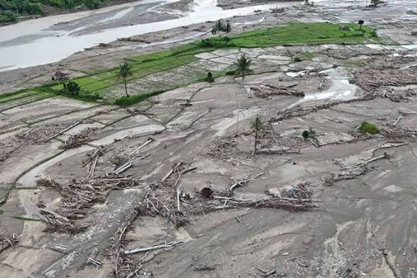 Sawah terdampak bencana yang sedang dipulihkan di Aceh