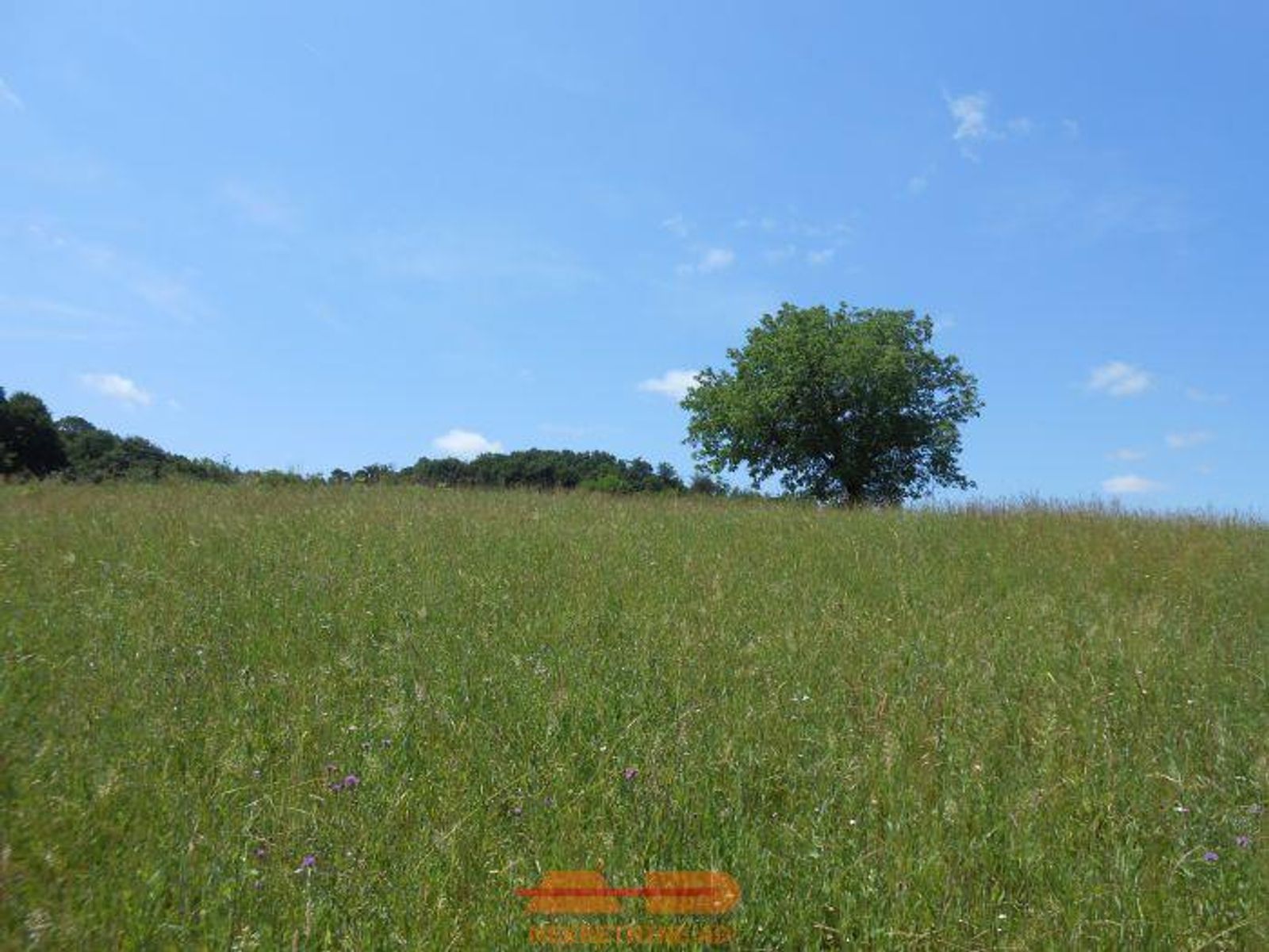 Zemljište 11.509 m2, uz ulicu, Dabrovac! — fotografija 5