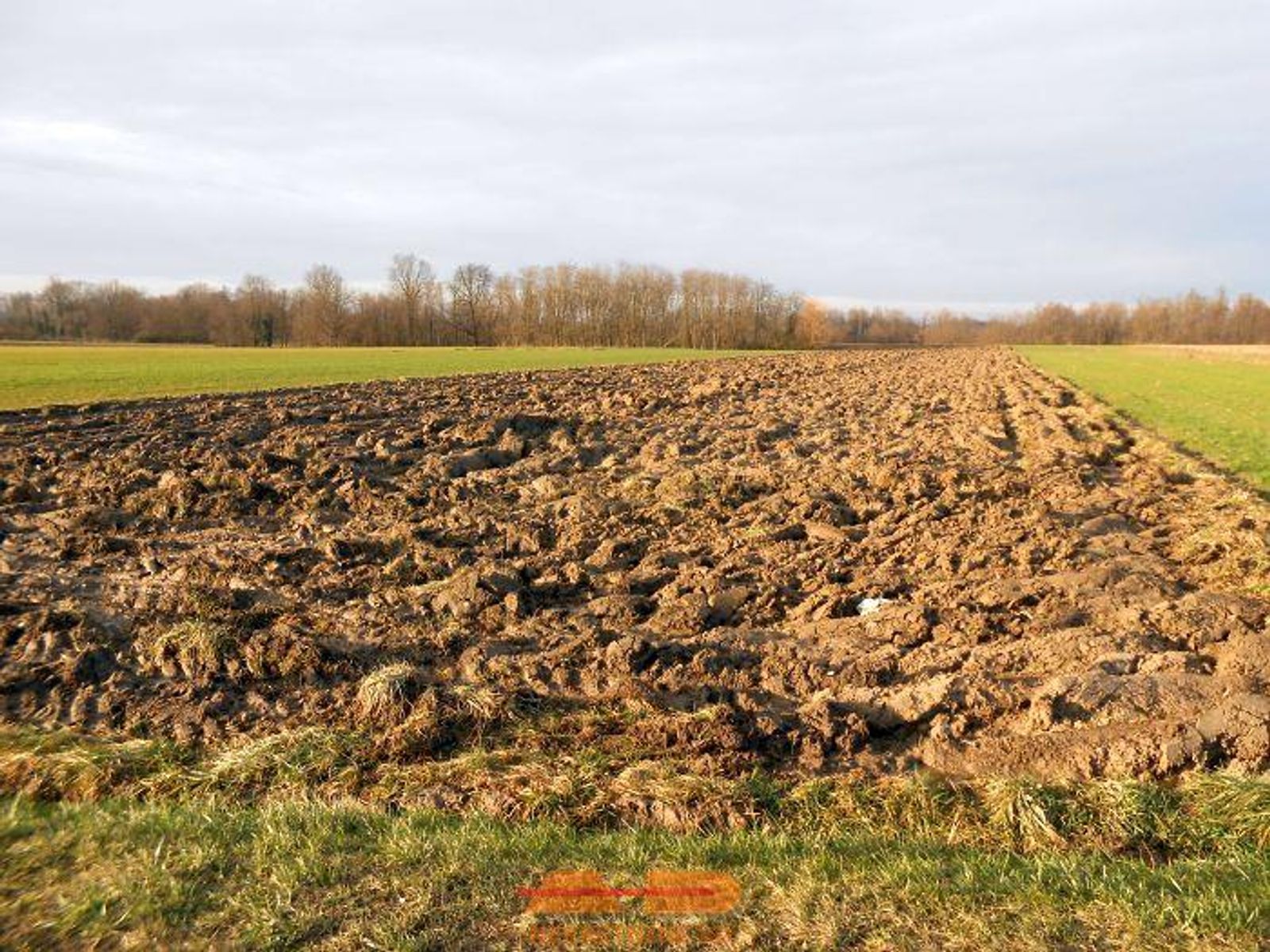 Kuća, objekti, zemljište 4.4 Ha, Blagorodovac! — fotografija 27