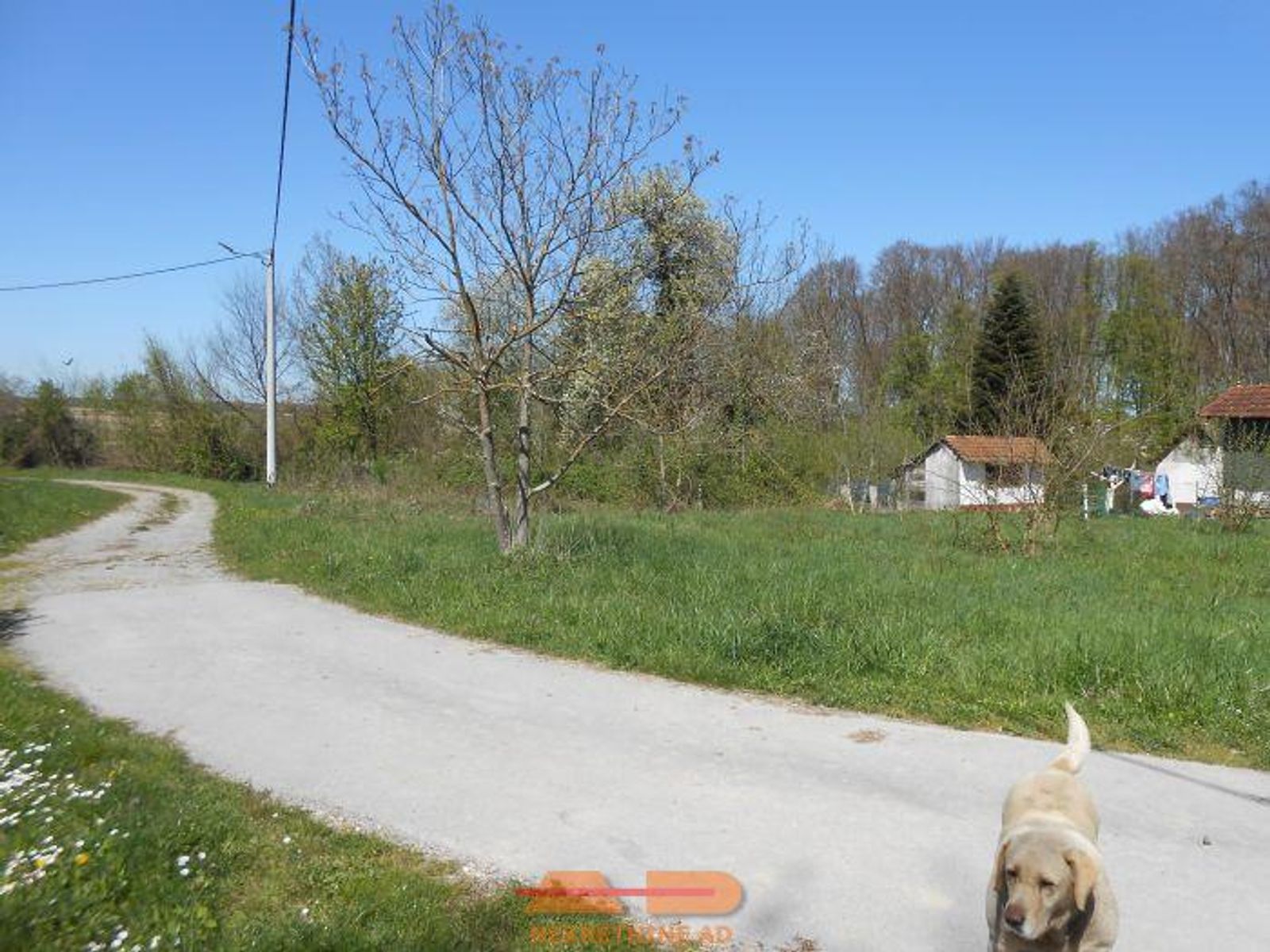 Građevinsko zemljište u Velikom Grđevcu! — fotografija 4