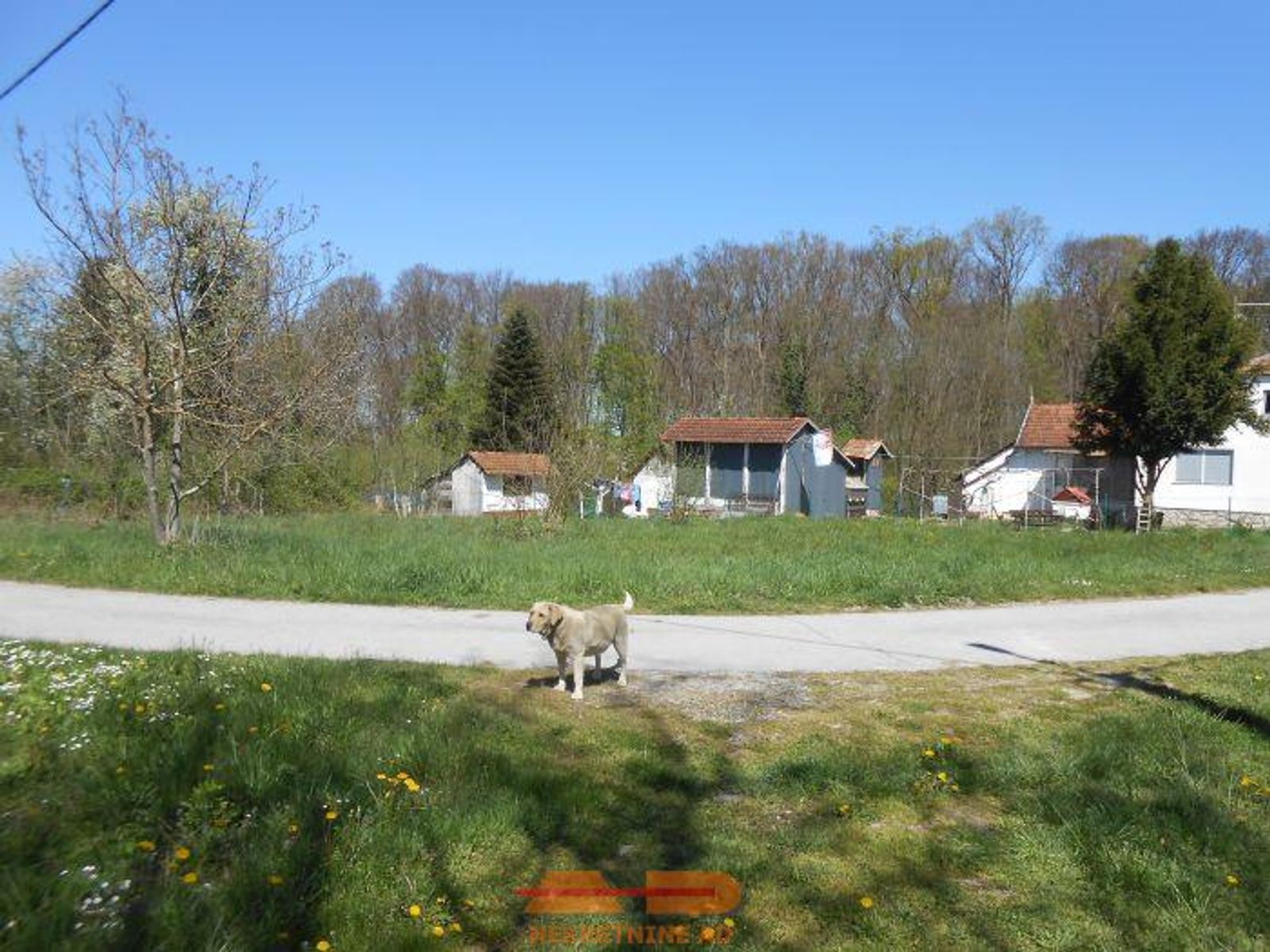 Građevinsko zemljište u Velikom Grđevcu! — fotografija 5