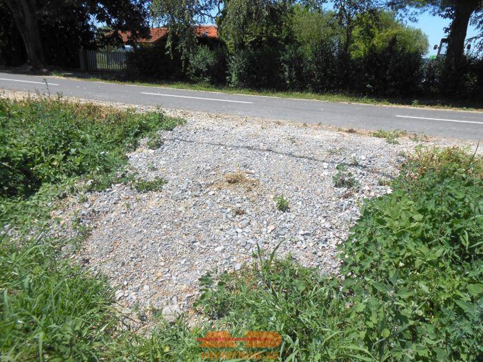 Plantaža lijeske na Borišu, moguća i gradnja!! — fotografija 7