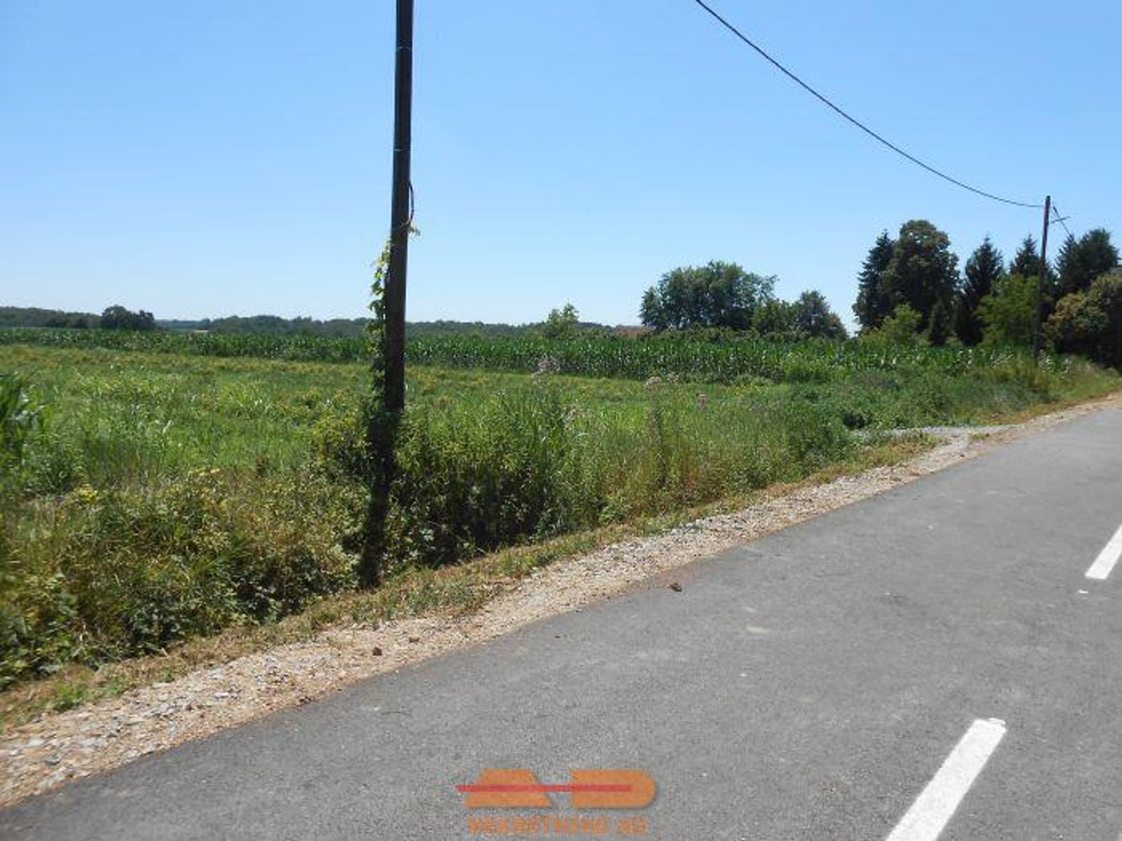 Plantaža lijeske na Borišu, moguća i gradnja!! — fotografija 8