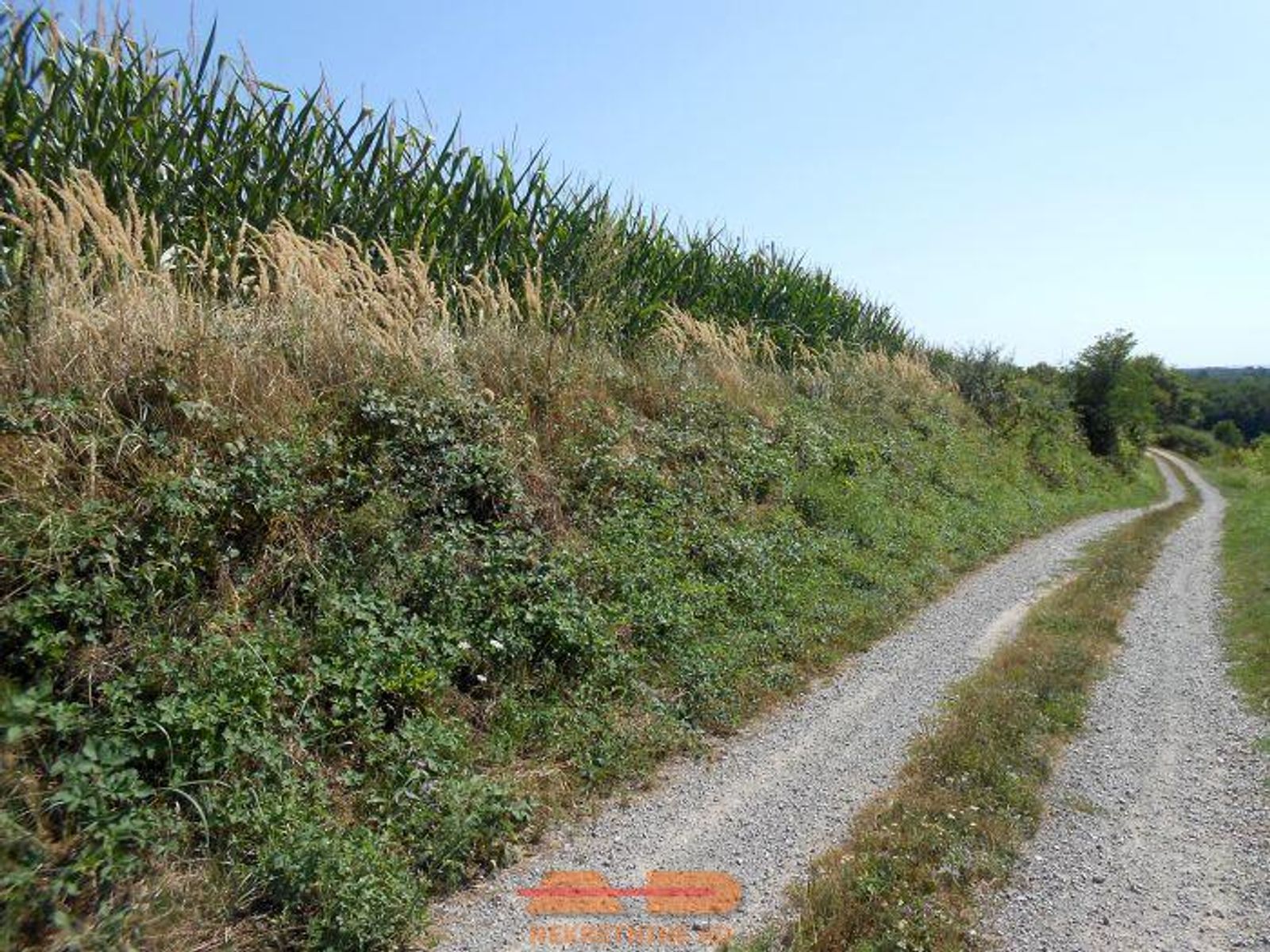 Održavana oranica, 6.830 m2, Šibovac! — fotografija 4
