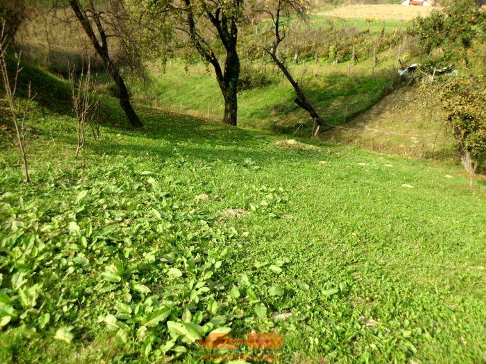 Građevinsko zemljište 1.293 m2, D. Daruvar! — fotografija 4