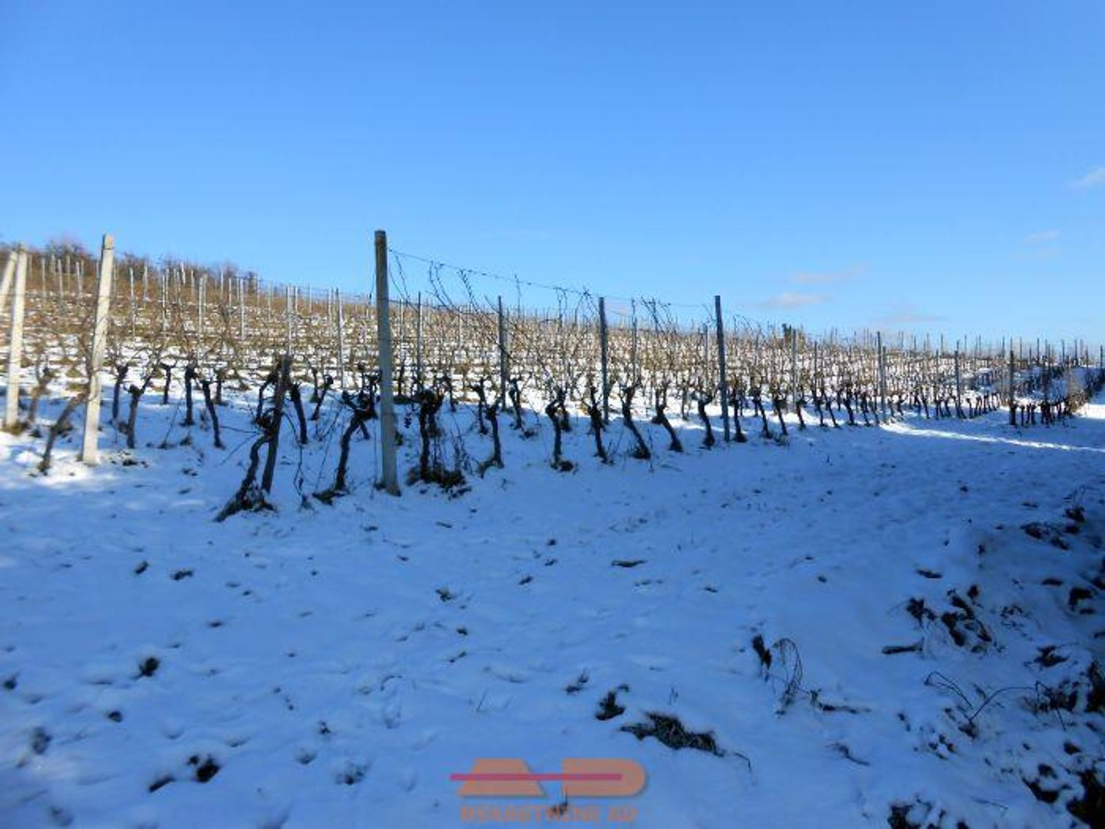 Klijet sa vinogradom, odmor za dušu! — fotografija 8