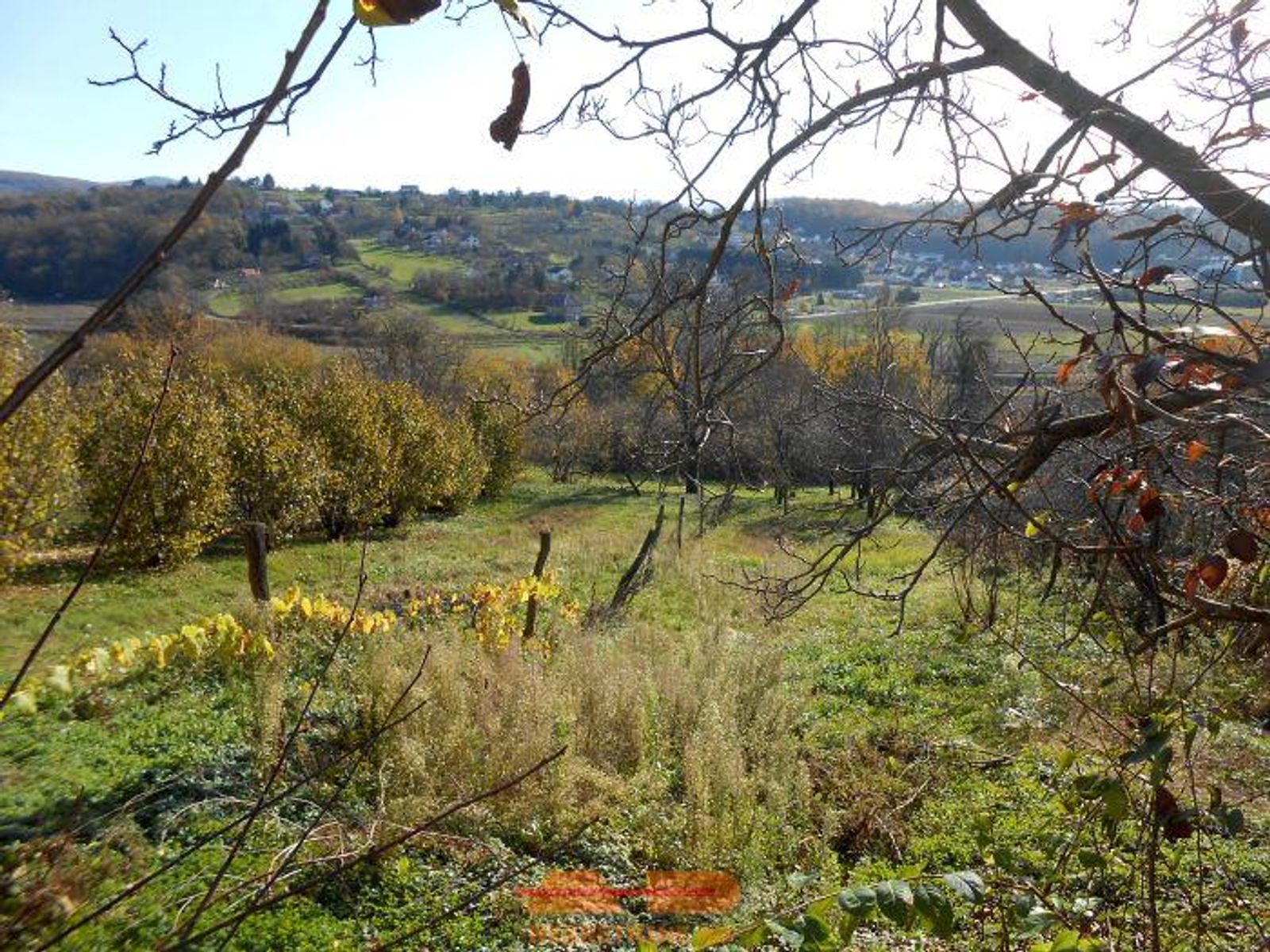 2 stana, pomoćni objekt, dvorište, voćnjak! — fotografija 6