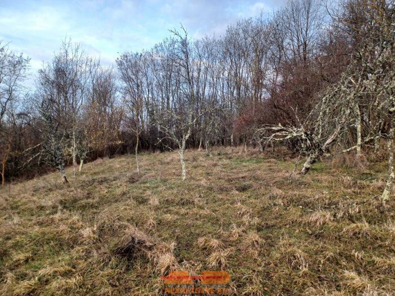 Zemljište 2834 m2, Vrbovac! — fotografija 2