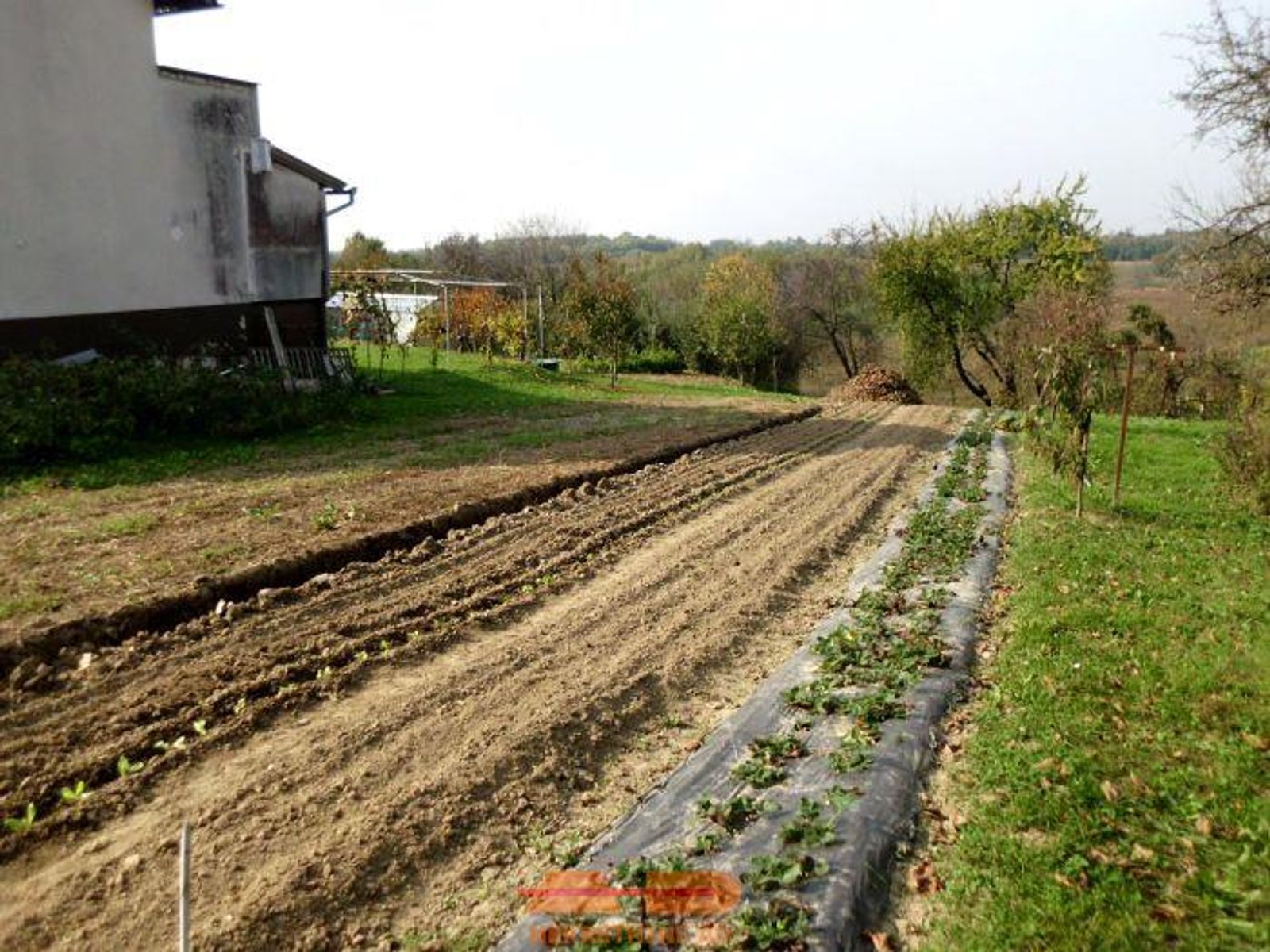 Građevinsko zemljište 1.293 m2, D. Daruvar! — fotografija 2