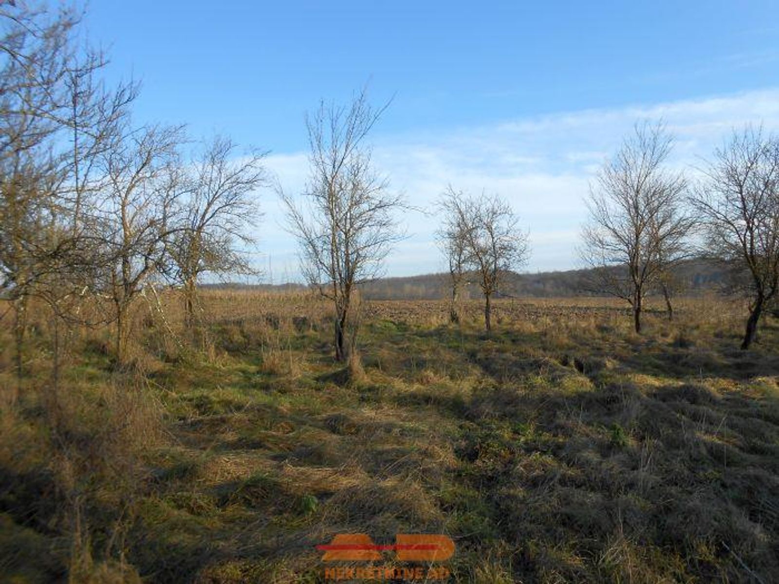 Kuća, objekti, zemljište 4.4 Ha, Blagorodovac! — fotografija 10