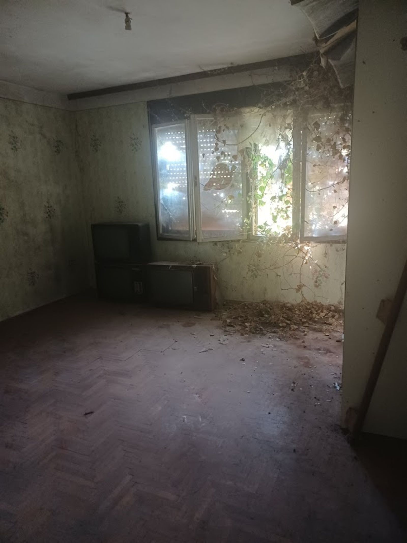 Kuća za adaptaciju sa 2 stana, mirna lokacija! — fotografija 3