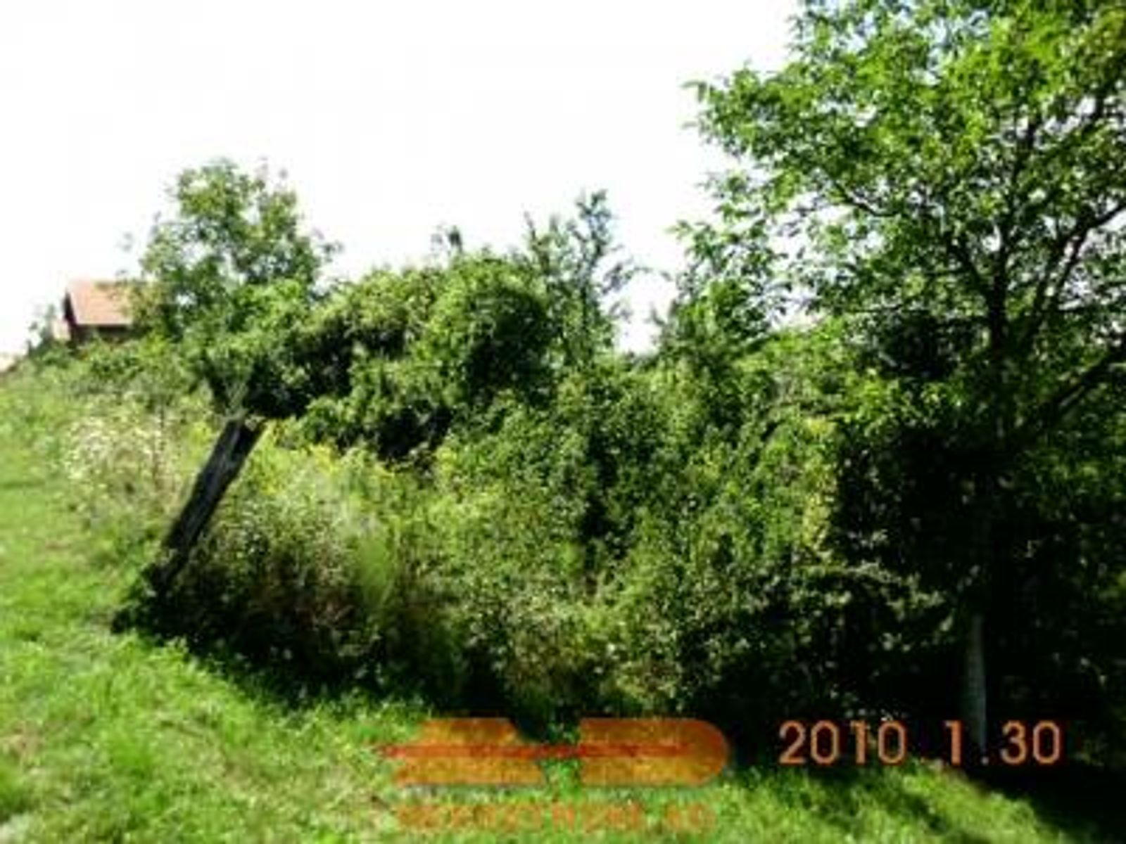 Gradilište 1.173 m2, Daruvar — fotografija 4