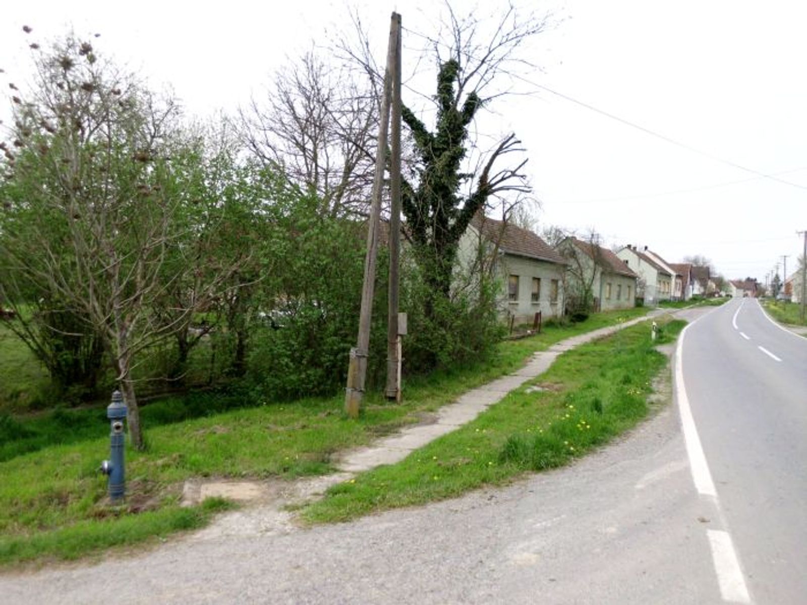 Starija kuća sa objektima, gradilište, V. Zdenci — fotografija 8