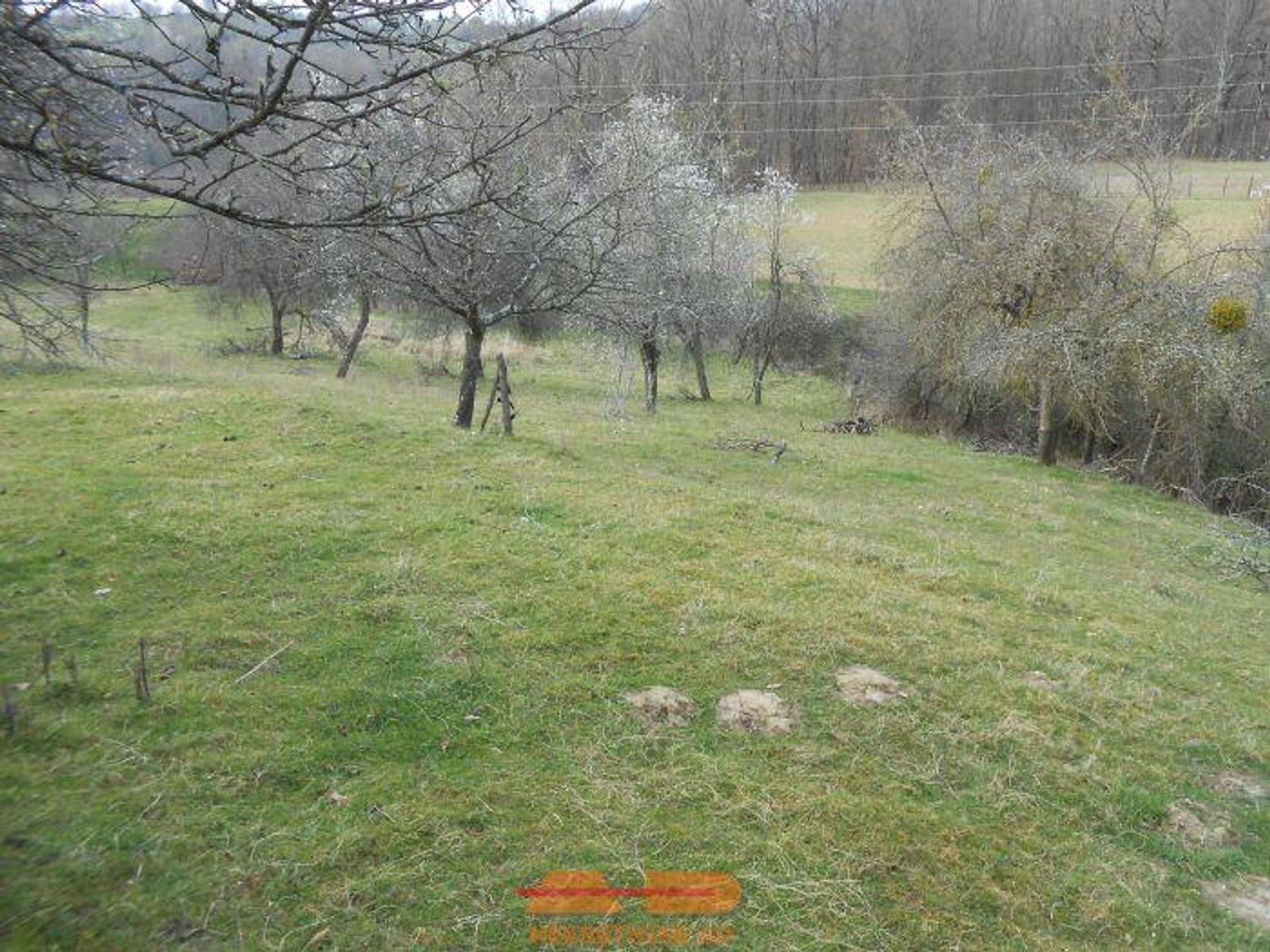 Renovirana, objekti, u prirodi, parcela 8.341 m2! — fotografija 24