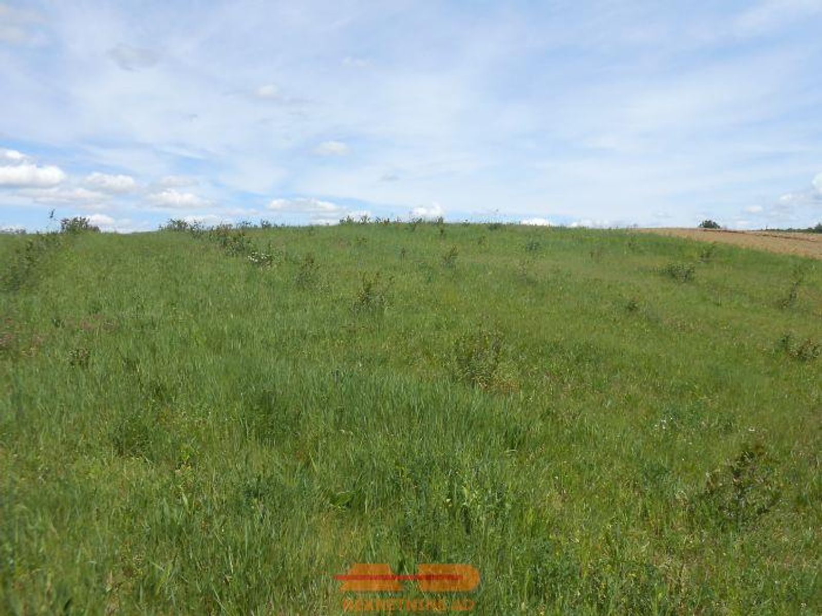 Nasad aronije i oranica, 16500 m2, Šibovac! — fotografija 10