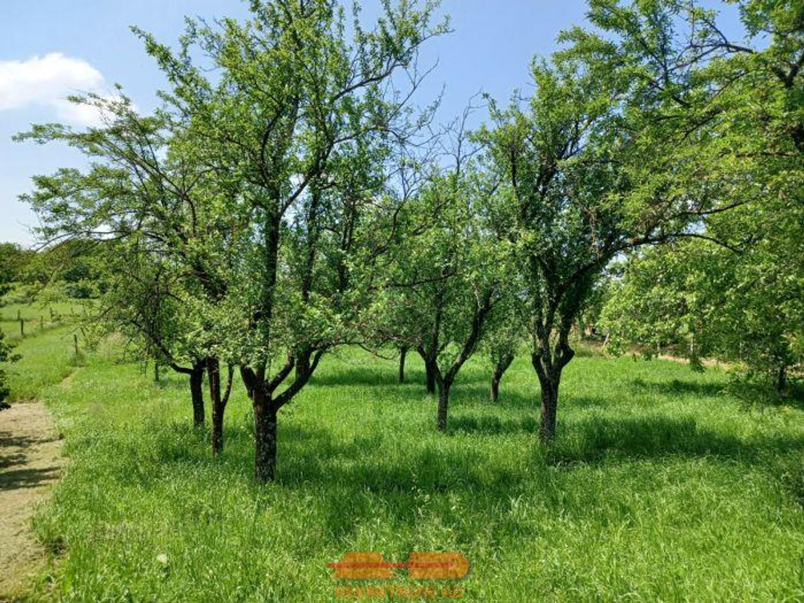 2 građevinska zemljišta sa okućnicama! — fotografija 13