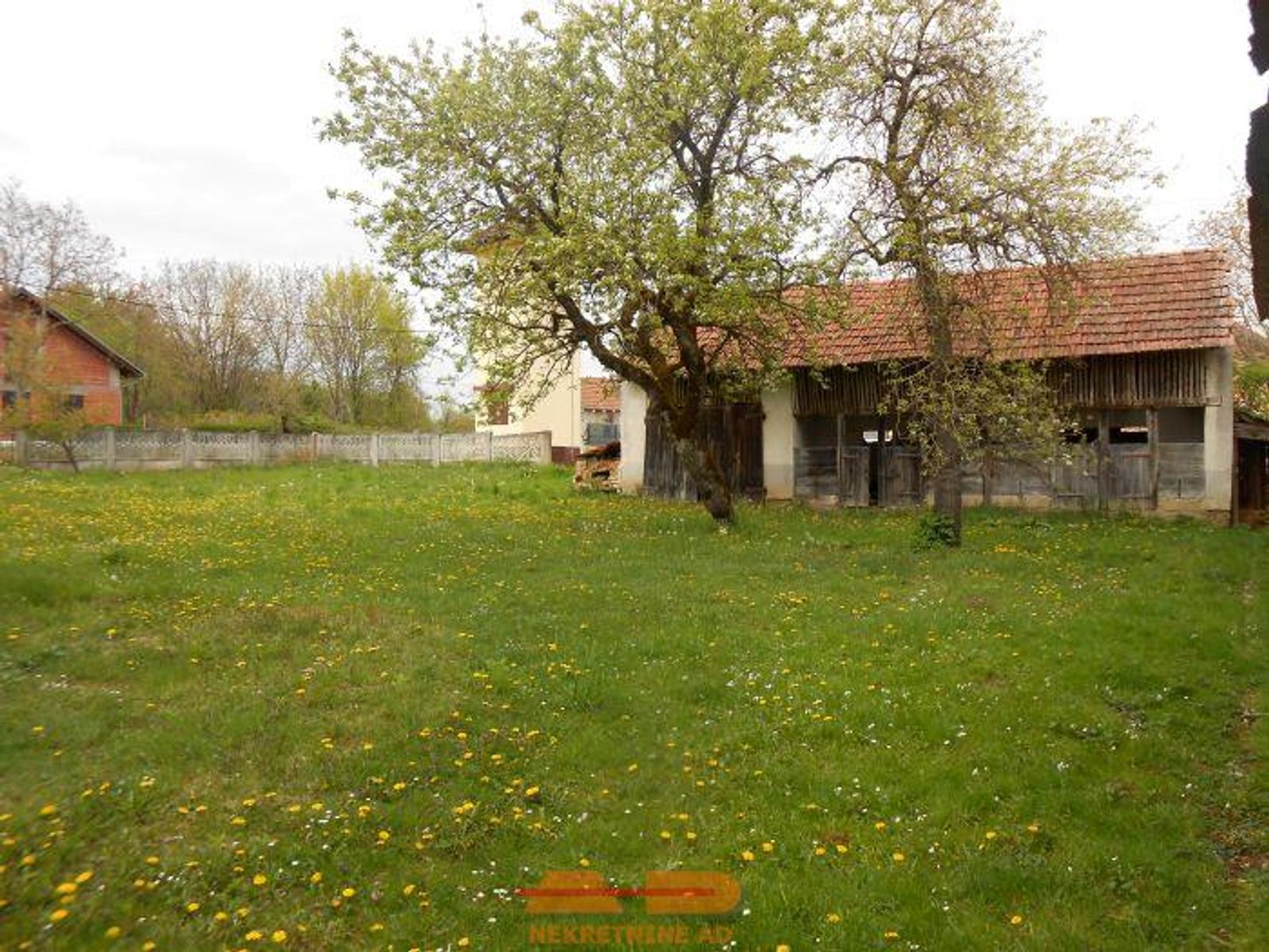 Kuća za renovaciju, objekti, Kip! — fotografija 10